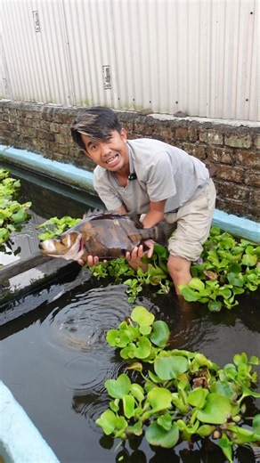 LIFTING THE BIGGEST MONSTER FISH I KEEP IN THE POND