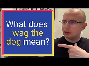 What does WAG THE DOG mean? Find out Definition and Meaning