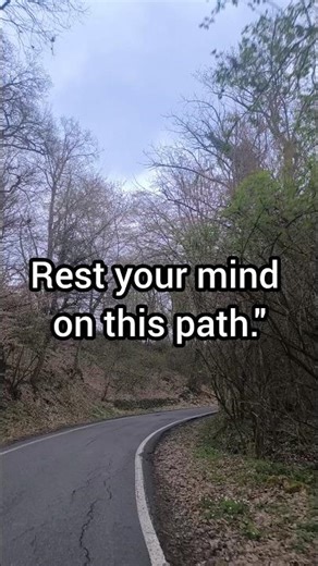 Foggy Forest Road: Deep Peace & Silence #asmr #nature #peace #ambience #relaxing
