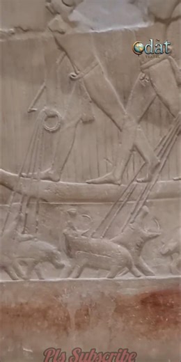 Carvings of Ancient Egyptians Hunting Marine Animals #carvings #paintings #marine #ancient #egypt