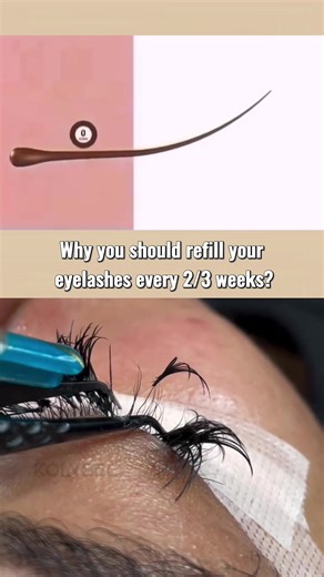 Understanding Lash Refills: Why Every 2-3 Weeks?