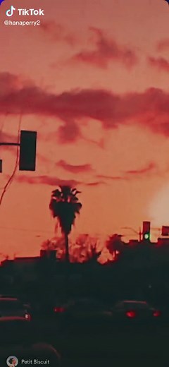 Sunset Lover Petit Biscuit - Nightcore Music Video