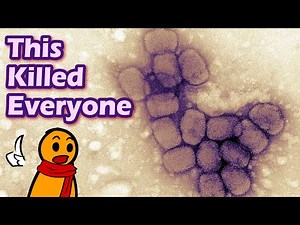 The Deadliest Disease in All Japanese History