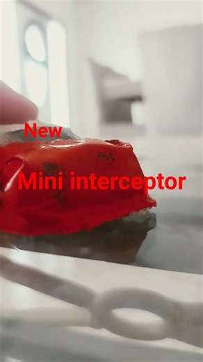 new mini interceptor Raptor