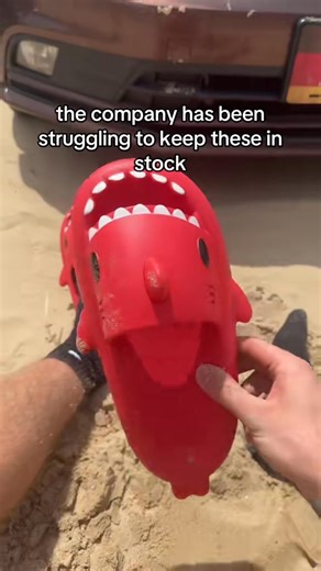 4 dollars is insane for these!勞#sharkslides #shark #slides #slippers #viral #trend | loganmanciu1 | Facebook