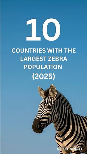 Top 10 Countries with the Largest Zebra Populations 🦓 (2025)