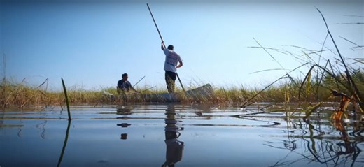 Review: 'Bad River,' a documentary about the Bad River Band of the Lake Superior Tribe of Chippewa Indians' fight for environmental protection and civil rights – CULTURE MIX