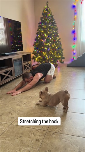 Morning yoga with my French Buldog Eva #frenchie #dogtrainer #sergeyastafyev #yoga #frenchbulldog