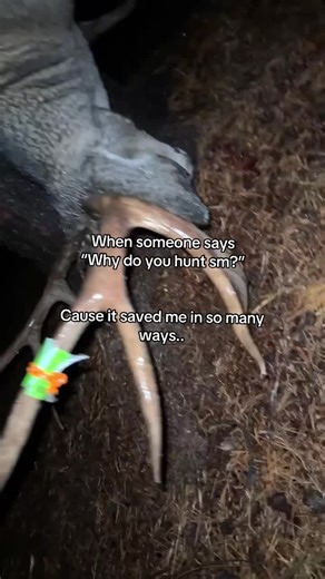 #outdoors #fyp #shedhunting #trending #mountain | Shed Hunting