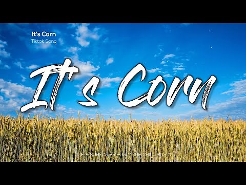 it's corn kid tiktok song lyrics | for me i really like corn