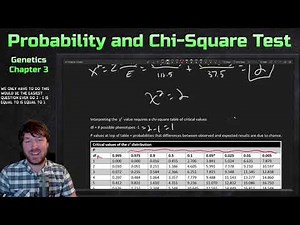 Probabilistic Mathematics and Chi-Square Test | Genetics Ep. 8