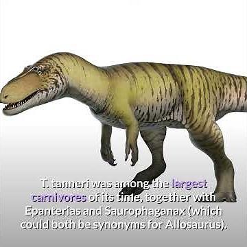 Torvosaurus || Description and Facts!