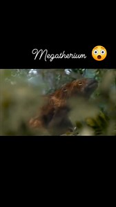 Megatherium (giant ground sloth) | Ron Aldo