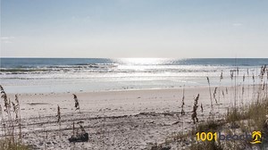 杰克逊维尔海滩 (Jacksonville Beach beach)