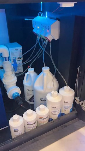 New Product Alert! 😁🐟 Seachem solves an annoying problem us new reefers have! The @kavemanaquatics Reef Tank powered by @seachem_laboratories & @aqua.vitro Dosing: #SeachemFusion 1&2 #SeachemNitrogen #SeachemPhosphorus #AquavitroIons #AquavitroFuel #AquavitroSalinity By way of #AquavitroSentiaDoser #aquabuildr #aquabuildrapp #saltwateraquarium #saltwaterreeftank #saltwatertank #reeftank #aquarium #aquariumhobby #reeftank #reefaqaurium #reefers #saltwatertanklife #reefer #KaveManAquatics | Kave