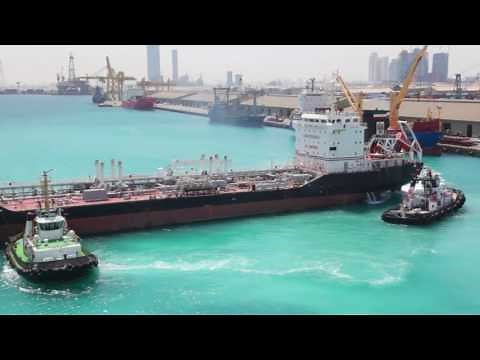 VULKAN Couplings System Competence - Torsional Vibration Calculation
