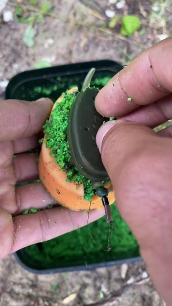 The Ultimate Guide to Fishing Styles and Tips