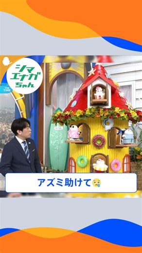 THE TIME, on Instagram: "🐣🐣🐣 アズミ助けて😢 #thetime_tbs #thetime切り抜き #アズミ #安住紳一郎 #シマエナガちゃん #シマエナガ"