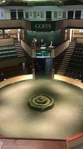 The sale is underway, watch live here: http://www.goffs.com/sales-results/sales/november-sale-2017 | Goffs