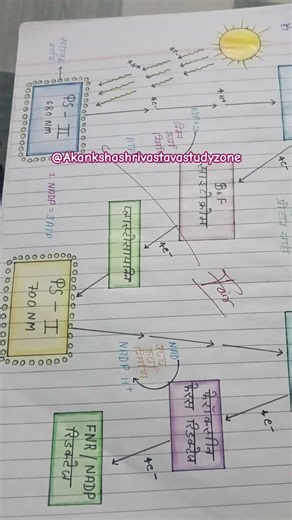 #claas10th Notes structure of Life process unit made by saumya Patel and shivangi yadav 👍#study