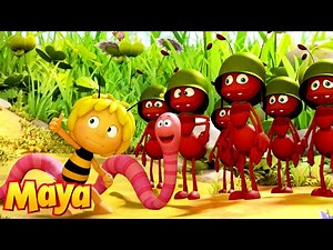 ¿Podrá Maya Salvar a Sus Amigos? 🐝 Maya la Abeja | Dibujos y Videos para Niños