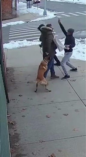 Brave pet owner and Pet TAKE DOWN THIEF