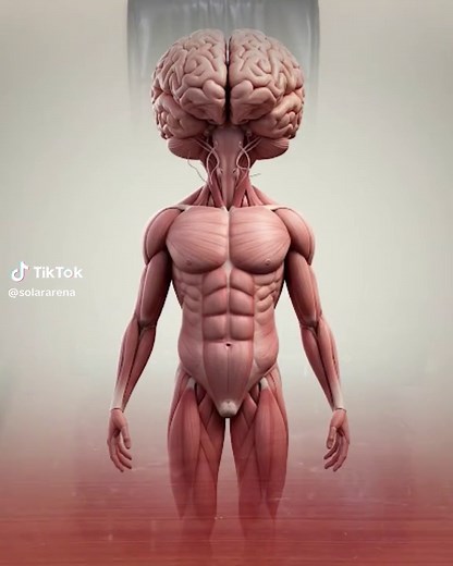 LiFePO4 Lithium Ion Phosphate Battery Overview