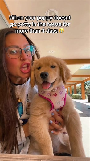 Whitney Wren's Elite Employee: Puppy Constipation Woes