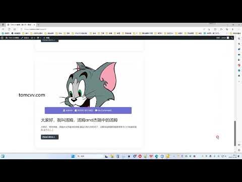 16期：CVV有关测活、风控的基础知识 完整版
