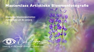 Artistieke bloemenfotografie