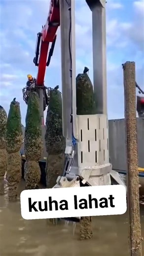 #harvesting #ideas #machine #mussels | ilokanangmahugot vlog