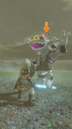 😭🙏😭 #botw #breathofthewild #humour #humor #videogames #funny