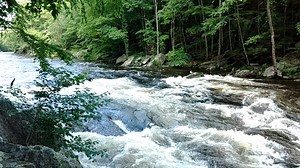Here's a video of the second set of rapids today. Watch the geese float through the rapids :) It looks like we might be able to reopen for tubing this weekend. We'll post an update on Friday of how that's looking. & call in the morning before heading our way to get the most updated information. 860-693-6465 | Farmington River Tubing