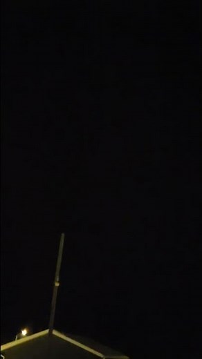 Coyotes howling and yipping