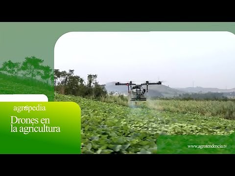 Drones en la agricultura 🛩️ Agro en 2 minutos