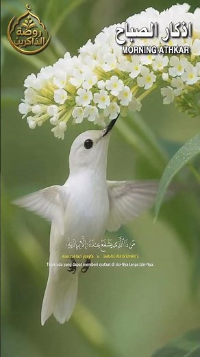 اذكار الصباح بصوت يريح قلبك راحه نفسيه💚حصن نفسك وبيتك من الشيطان | القارئ علاء عقل Morning adhkar