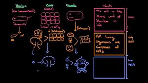 History and development of cell theory