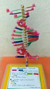 Science project||DNA Model||Investigatory biology project #study #boardexam #biology #neet2022