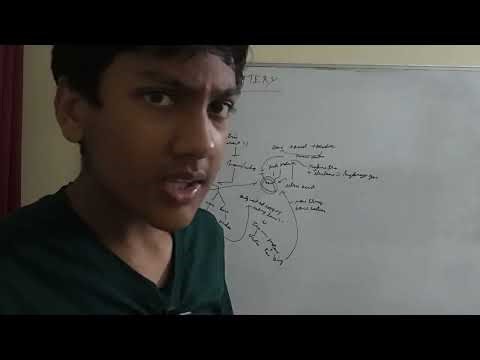 How Does a Lemon Battery Work? 🍋⚡ Simple Science Explained!