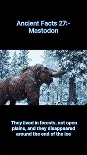 Did you Know about Mastodon #facts #explore #dinosaur #wildlife