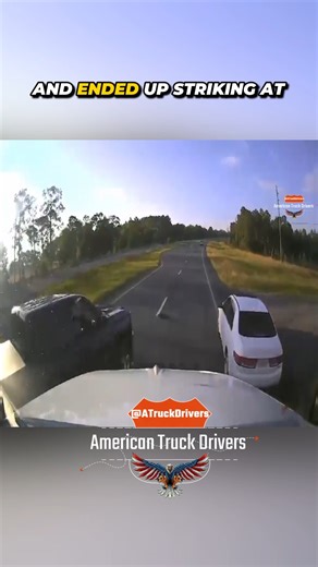 Truck Plows Into Stopped Cars After Drivers Halt Traffic for Turtle on US 331 | American Truck Drivers