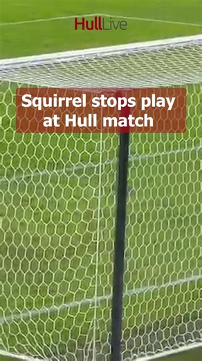 Unbelievable scenes 😂 | Hull Live