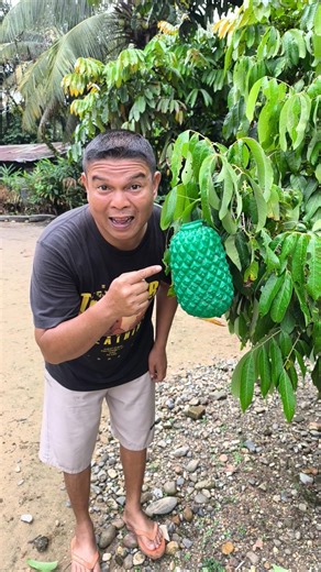 Buah apa itu de' #shorts #trending #funny #subscribe