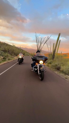 Rolling with friends on the road less traveled through the saguaros of Arizona. Expand your explorations by grabbing an H-D rental with our partners over at EagleRider ➡️ https://www.eaglerider.com/harley-davidson | Harley-Davidson