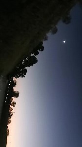 钻石糖💎cassie在抖音记录美好生活20210913