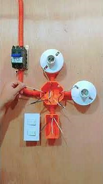 2 gang switch with 2 bulb wiring connection