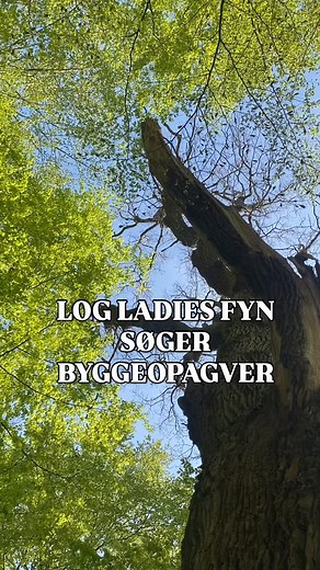VI SØGER AT BYGGE FOR, MED ELLER RÅDGIVE DIG I DIT NÆSTE BÆREDYGTIGE BYGGEPROJEKT. Log Ladies er et kooperativ som ikke går på kompromis med: - bæredygtighed - konstruktiv åndbarhed - ordentlige arbejdsforhold Log Ladies rådgiver - i byggeprocessen - om biogene materialer Log Ladies bygger - alt fra borde og bænke til kolonihavehuset, redskabsskure, saunaer og terrasser. - vi renoverer også dit tag, sætter skillerumsvægge eller piller dem ned og udskifter vinduer og døre - når vi bygger gør vi d