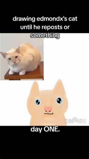 very fast cuz I was slacking @edmondx #edmondx #drawing #catdrawing #cutecat #mostfamouscatontiktok