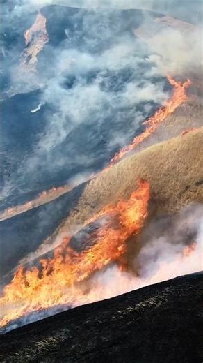 【阿蘇】受け継がれる野焼き