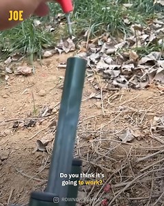 339K views · 378 reactions | I’d be entertained all day long 裡 | Comedy JOE | Facebook